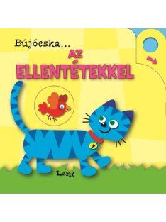 Bújócska az ellentétekkel  - Napraforgó