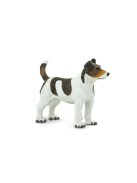 Jack Russell terrier Safari