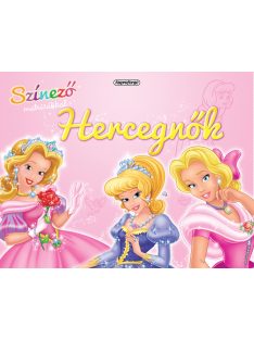 Szinező matricákkal- Hercegnők